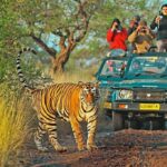 Ranthambore 6