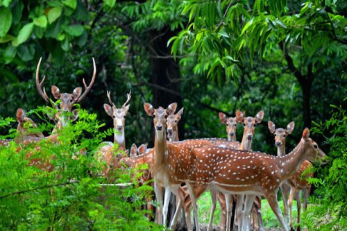 wildlife sanctuaries